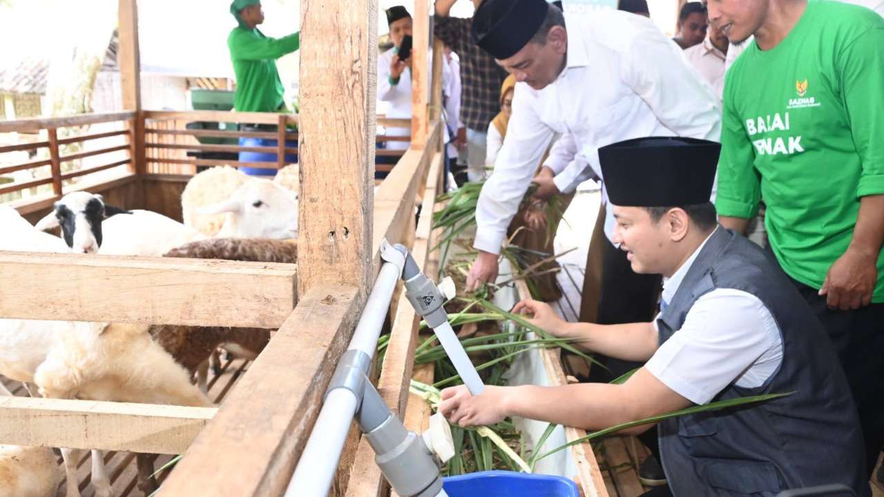 Balai Ternak Barokah Farm Trenggalek: Program BAZNAS Tingkatkan Ekonomi Buruh Peternak Prasejahtera